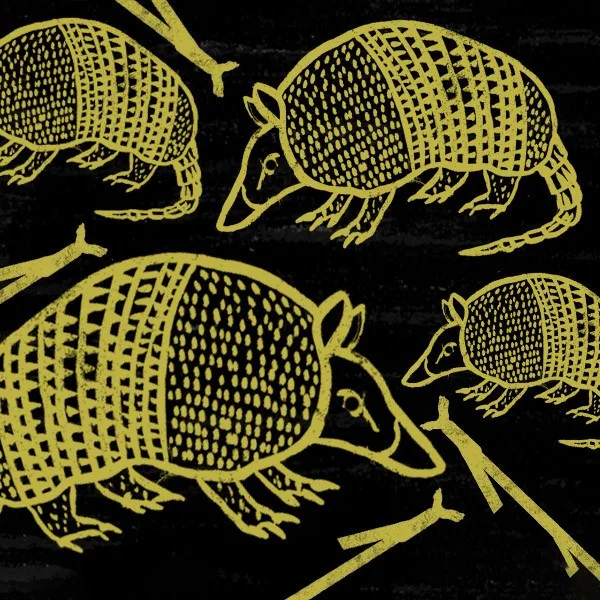 Extinction — armadillos in patterned yellow on black
