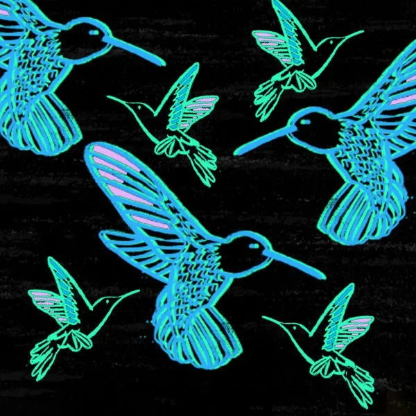 Extinction — hummingbirds in cyan and violet on black
