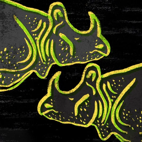 Extinction — Javan rhinos in lime and charcoal