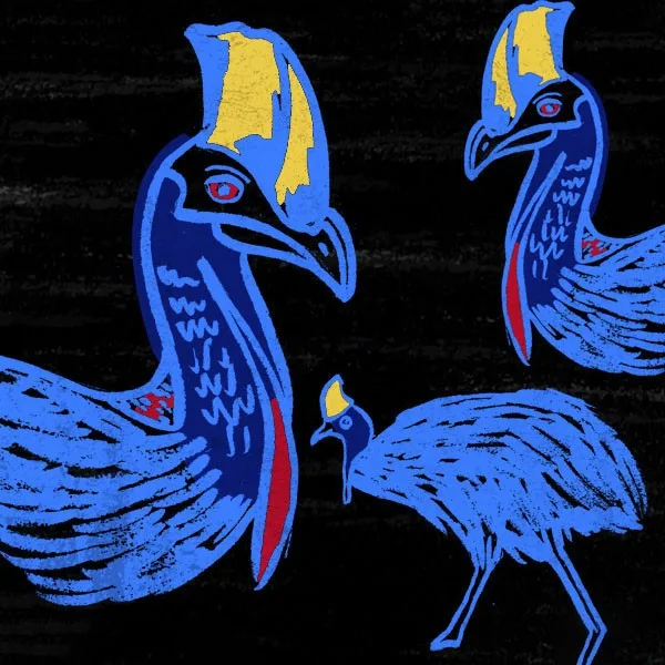 Extinction — blue cassowaries on black